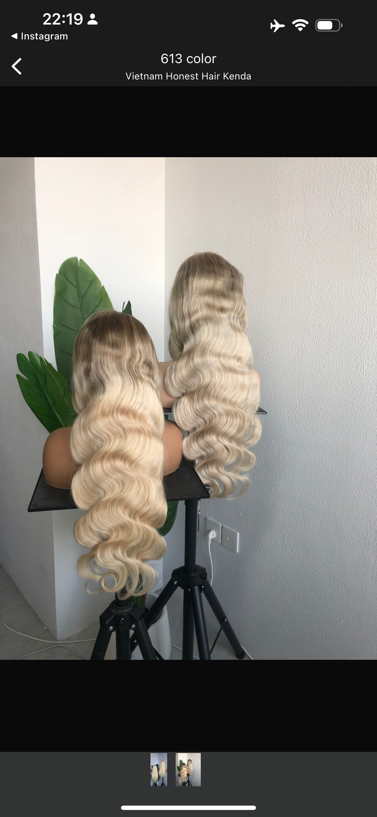 Ebony Wig