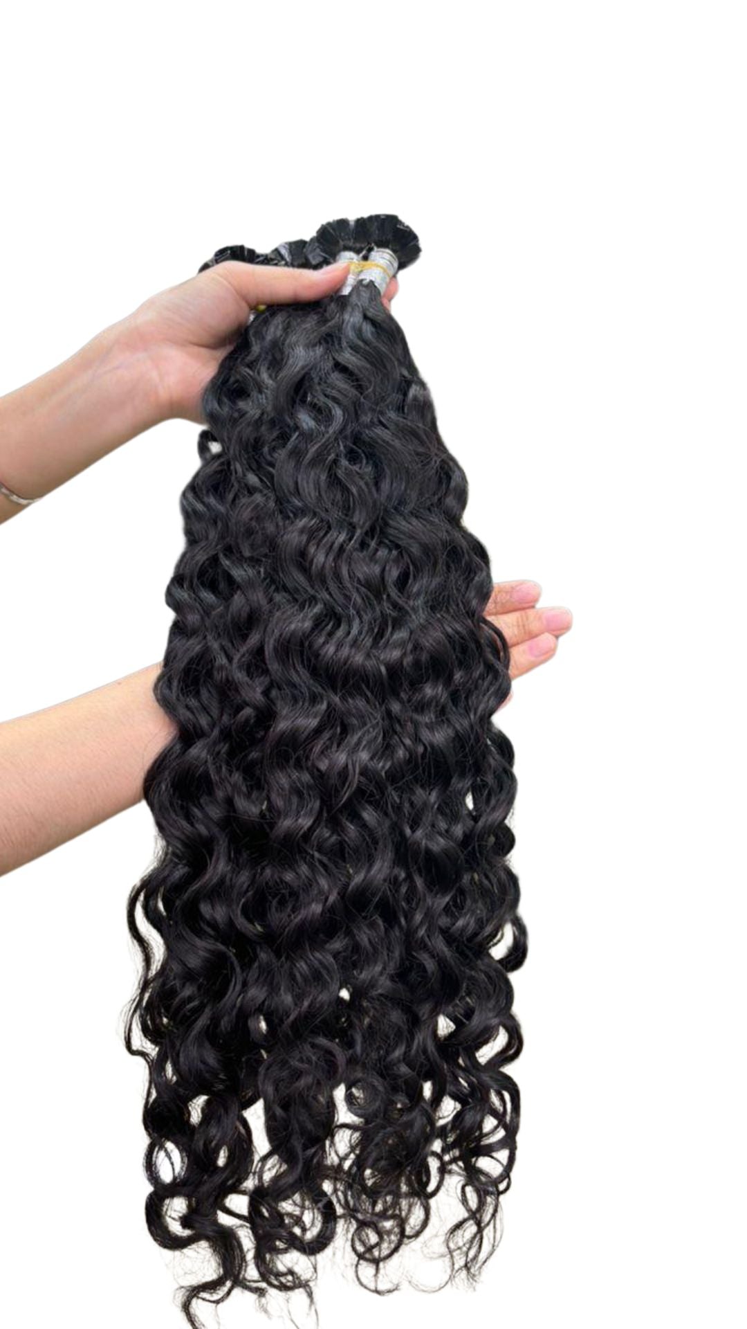 Burmese Curly Flat tips