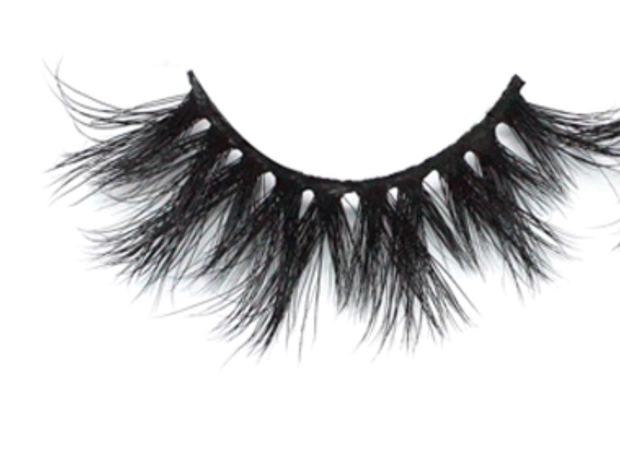 Sam Lashes