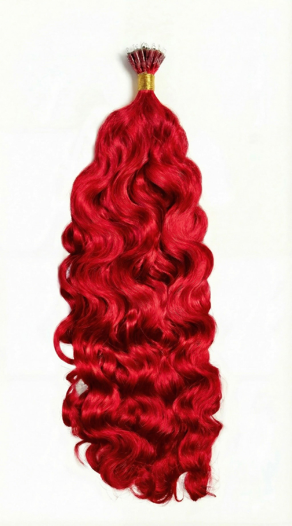 Fire Red Burmese Curly Nanos