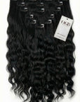 Jet Black Clip Ins Natural Waves