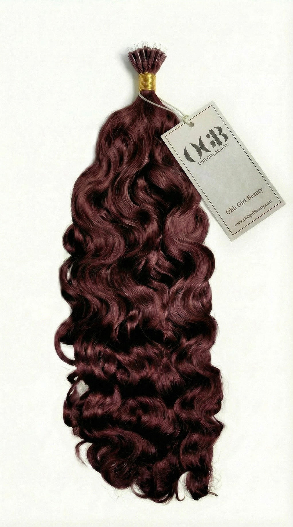 Burgundy Burmese Curly Nanos